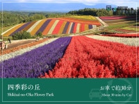 호텔 파크 힐즈 - 호텔 객실 & 가격 | 비에이, 홋카이도 호텔과 여관 | Jalan : 호텔 예약 사이트