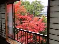 岩室温泉　高志の宿　高島屋の写真 - 宿泊予約は＜じゃらんnet＞