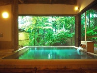 本格湯波懐石　日光星の宿の写真 - 宿泊予約は＜じゃらんnet＞