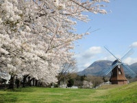 コンフォートホテル前橋の写真 - 宿泊予約は＜じゃらんnet＞