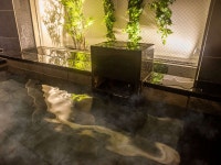天然温泉　蓬莱山の湯　スーパーホテル越前・武生の写真 - 宿泊予約は＜じゃらん＞ 天然温泉　蓬莱山の湯　スーパーホテル越前・武生の写真... 