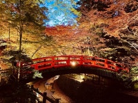 어반 호텔 쿄토 니조 프리미엄 - 호텔 객실 & 가격 | 가라스마도리, 시조도리, 교토 호텔과 여관 | Jalan : 호텔 예약 사이트