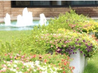 에버그린 후지 - 호텔 객실 & 가격 | 가와구치코, 사이코, 후지요시다, 야마나시 호텔과 여관 | Jalan : 호텔 예약 사이트