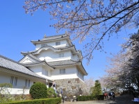 카츠우라 힐탑 호텔 레지던스 - 콘도미니엄 객실 & 가격 | 가쓰우라, 온주쿠, 치바 호텔과 여관 | Jalan : 호텔 예약 사이트