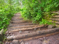 미센소 - 민박 객실 & 가격 | 다이센, 돗토리 호텔과 여관 | Jalan : 호텔 예약 사이트