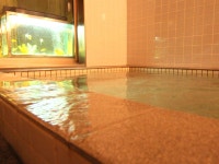 秩父・小鹿野温泉　高根の湯　越後屋旅館 - 宿泊予約は＜じゃらんnet＞