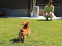 おしなやワンわんコテージ海と花 - 宿泊予約は＜じゃらんnet＞
