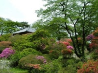 【宮崎公園】アクセス・営業時間・料金情報 - じゃらんnet