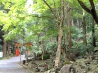 【方広寺（奥山半僧坊）】アクセス・営業時間・料金情報 - じゃらんnet