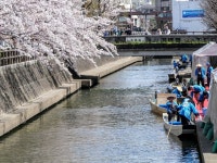 竹鼻駅周辺の屋形船・納涼船ランキングTOP3 - じゃらんnet