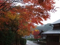 【有田町歴史民俗資料館東館】アクセス・営業時間・料金情報 - じゃらんnet