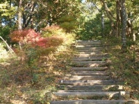 【守山西公園】アクセス・営業時間・料金情報 - じゃらんnet