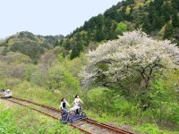 【大館・小坂鉄道レールバイク】アクセス・営業時間・料金情報 - じゃらんnet