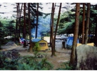 松川村（北安曇郡）のキャンプ・バンガロー・コテージランキングTOP3 - じゃらんnet