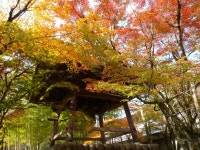 静岡ドライブスポット11選！紅葉狩り・冬休みのおでかけにおすすめ！ - じゃらんレンタカードライブガイド