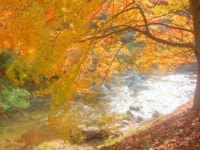 【中国自然歩道八重滝コース】アクセス・営業時間・料金情報 - じゃらんnet