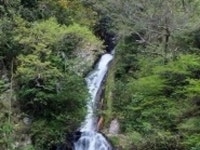 【金龍の滝】アクセス・営業時間・料金情報 - じゃらんnet