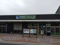 身延駅周辺の観光施設・名所巡りランキングTOP10 - じゃらんnet