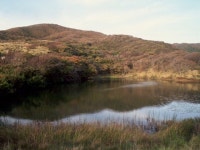 【縄文沼遺跡】アクセス・営業時間・料金情報 - じゃらんnet