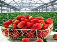 山寺（宮城県）の観光スポットランキングTOP10 - じゃらんnet