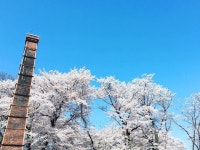 【結城酒造】アクセス・営業時間・料金情報 - じゃらんnet