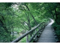 【千ヶ滝ハイキングコース】アクセス・営業時間・料金情報 - じゃらんnet