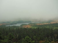 【源太森】アクセス・営業時間・料金情報 - じゃらんnet