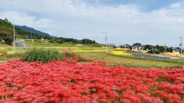 王寺駅周辺の観光スポットランキングTOP10（3ページ目） - じゃらんnet