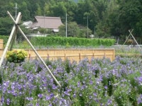 宮前町猪倉の観光スポットランキングTOP6 - じゃらんnet