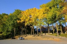 川田谷のその他神社・神宮・寺院ランキングTOP1 - じゃらんnet