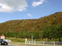 のの岳駅周辺の動物園・植物園ランキングTOP10（2ページ目） - じゃらんnet