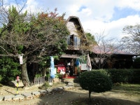 江波南のご当地グルメランキングTOP10 - じゃらんnet