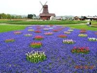 【かみゆうべつチューリップ公園】アクセス・営業時間・料金情報 - じゃらんnet