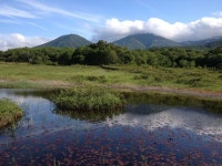 【田代平湿原植物群落】アクセス・営業時間・料金情報 - じゃらんnet