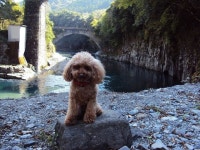 【出会橋・轟橋】アクセス・営業時間・料金情報 - じゃらんnet