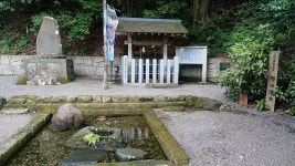 小杉(富山県)駅周辺の観光スポットランキングTOP10（3ページ目） - じゃらんnet