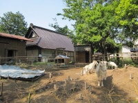 【cafe くじらぐも】八ヶ岳・小淵沢・清里・大泉・カフェ - じゃらんnet