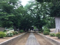 【弘経寺（茨城県結城市）】アクセス・営業時間・料金情報 - じゃらんnet