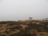 【坂井海岸】アクセス・営業時間・料金情報 - じゃらんnet