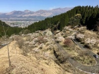 【高森峠の九十九曲り】アクセス・営業時間・料金情報 - じゃらんnet