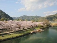 【吉香公園・錦帯橋／さくら】アクセス・営業時間・料金情報 - じゃらんnet
