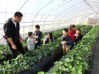 【成田ファームランド】予約・アクセス・割引クーポン - じゃらんnet