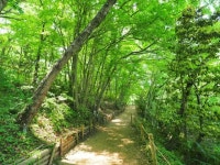 埼玉の自然体験ランキングTOP10 - じゃらんnet