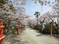 【涼ヶ岡八幡神社】アクセス・営業時間・料金情報 - じゃらんnet