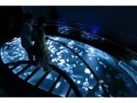 上野・浅草・両国の水族館ランキングTOP1 - じゃらんnet
