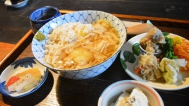 Shokkan - The Japan Times