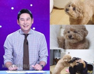 [주말엔 이슈] 윤찬영 녹화 취소, 서예지 복귀, 신동엽 유기견 입양... KtN [주말엔 이슈] 윤찬영 녹화 취소, 서예지 복귀, 신동엽 유기견 입양