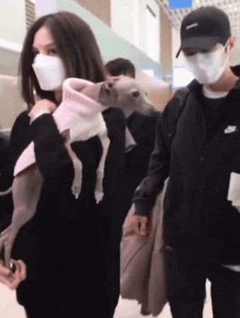 송중기 