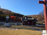 [김포 INSIGHT①] 로컬 컬러로 읽는 김포, 226개 시군 중 김포는 무엇이 다른가 < 사회 < 뉴스 < 기사본문 - KtN (K trendy NEWS) [김포... 