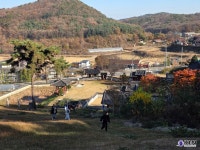 [김포 INSIGHT①] 로컬 컬러로 읽는 김포, 226개 시군 중 김포는 무엇이 다른가 < 사회 < 뉴스 < 기사본문 - KtN (K trendy NEWS) [김포... 